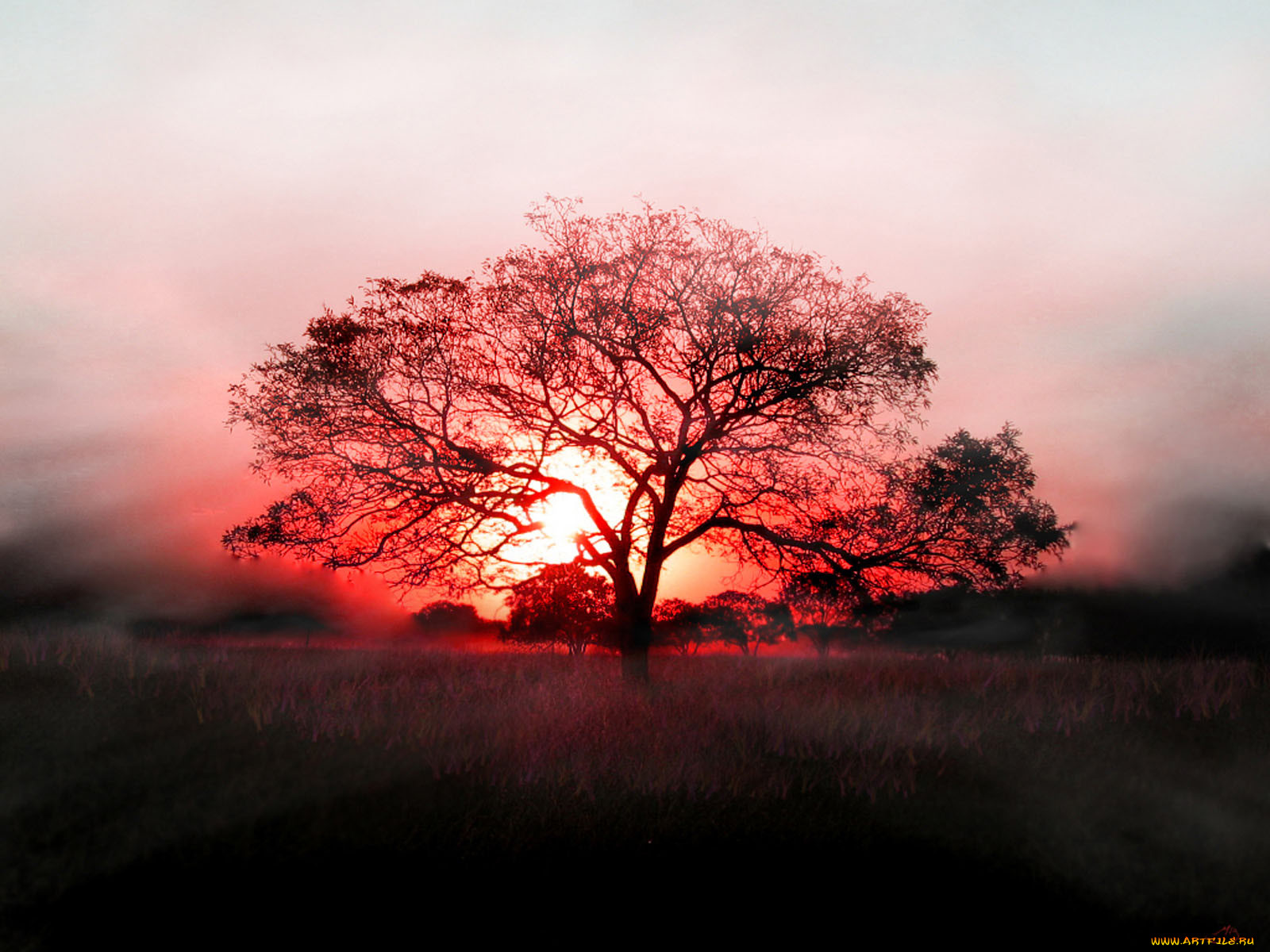 sunset, , windows, vista, longhorn